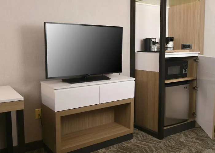 Springhill Suites Des Moines West